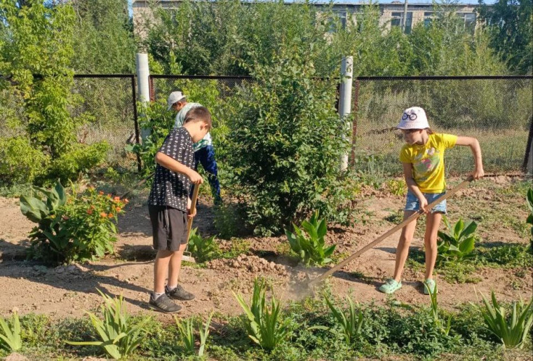 В нашей школе, несмотря на летние каникулы, кипит жизнь.